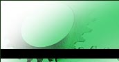 IDM Logo