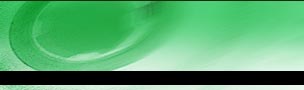 IDM Logo